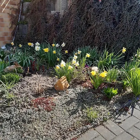 Дом отдыха Oertel Аннаберг-Бухгольц